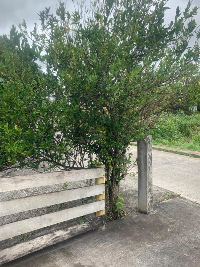 Caraibes Loc Apartment Ducos Ngoại thất bức ảnh